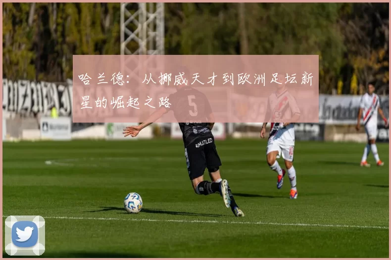 哈兰德：从挪威天才到欧洲足坛新星的崛起之路