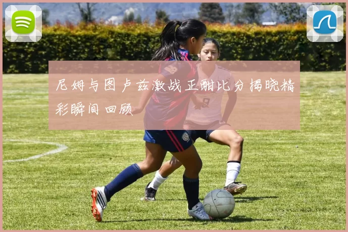 尼姆与图卢兹激战正酣比分揭晓精彩瞬间回顾