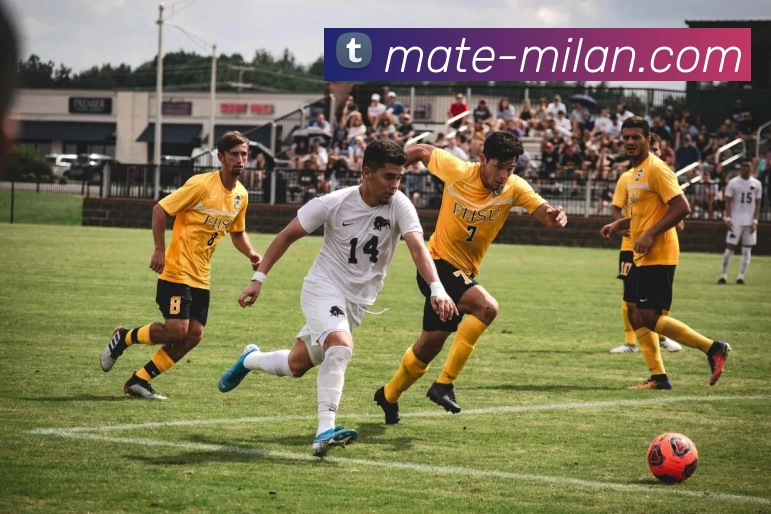 milan.com平台生态图